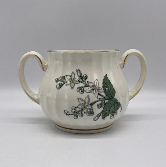 Royal Worcester Valencia Sugar Bowl Vintage Bone China Made In England No Lid